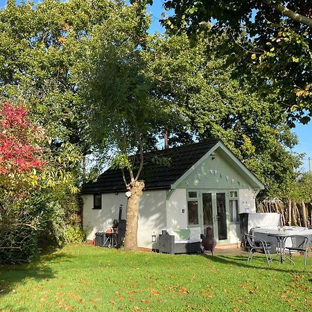 Pheasant Lodge ウィンボーン・ミンスター エクステリア 写真