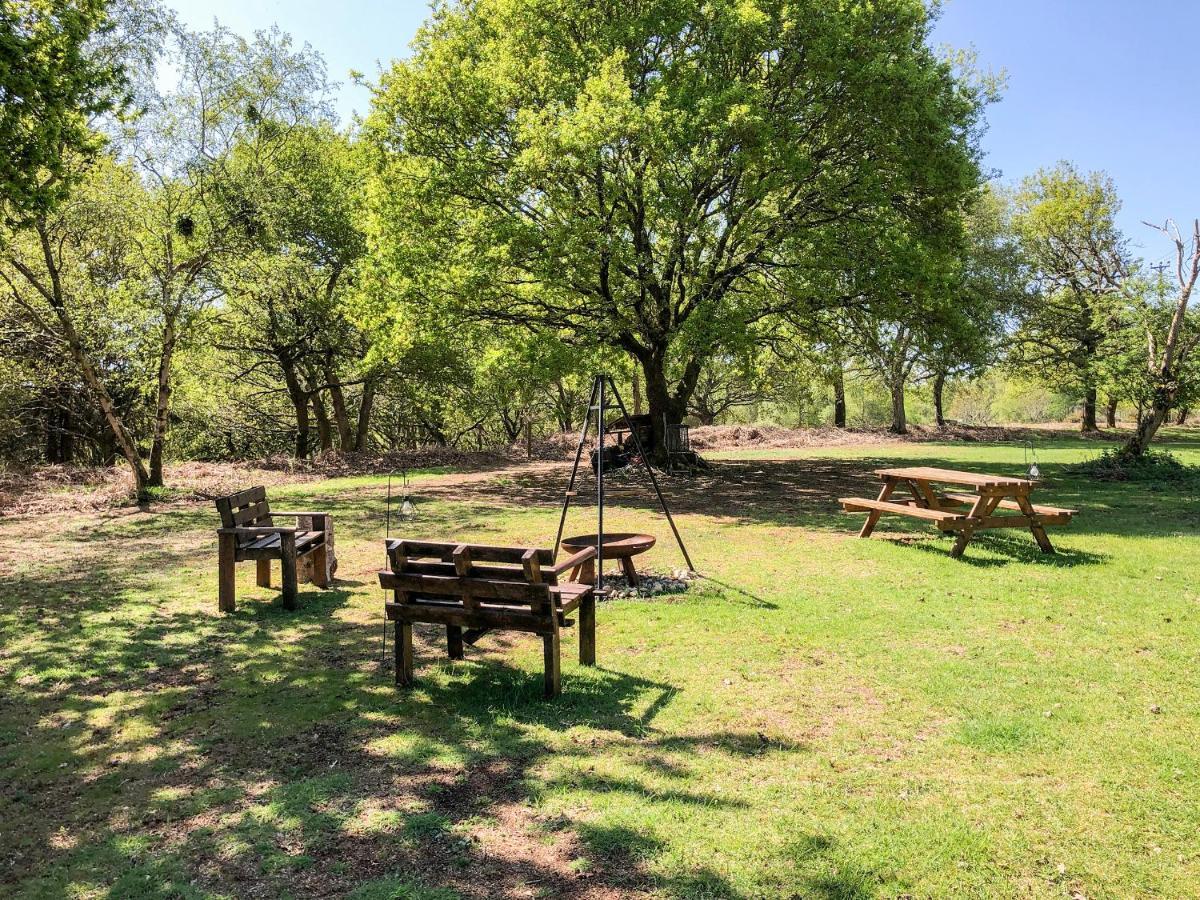 Pheasant Lodge ウィンボーン・ミンスター エクステリア 写真