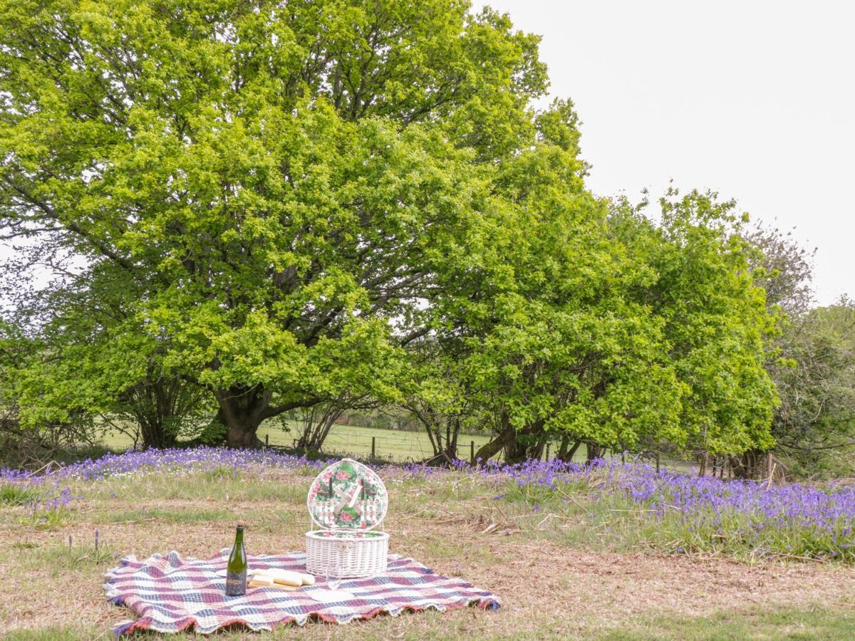 Pheasant Lodge ウィンボーン・ミンスター エクステリア 写真