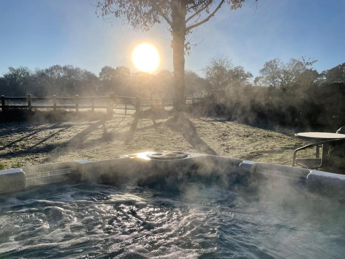 Pheasant Lodge ウィンボーン・ミンスター エクステリア 写真