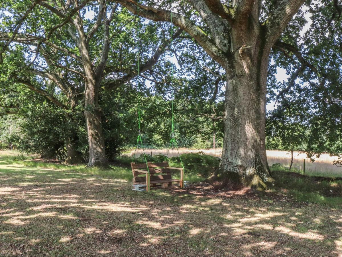 Pheasant Lodge ウィンボーン・ミンスター エクステリア 写真
